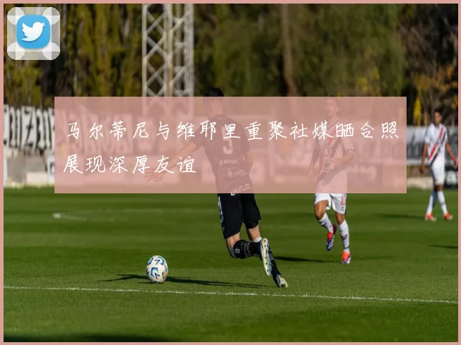 马尔蒂尼与维耶里重聚社媒晒合照展现深厚友谊