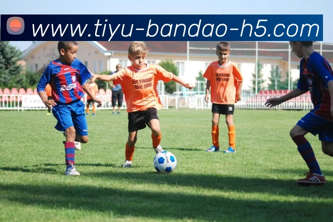 半岛体育全站App